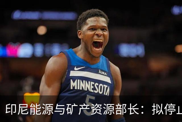 印尼能源与矿产资源部长：拟停止向不尊重印尼的国家供能