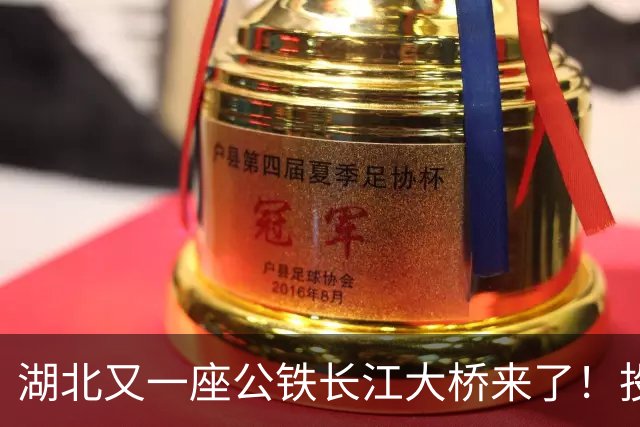 湖北又一座公铁长江大桥来了！投资‌116亿元‌，路线长‌9.7公里